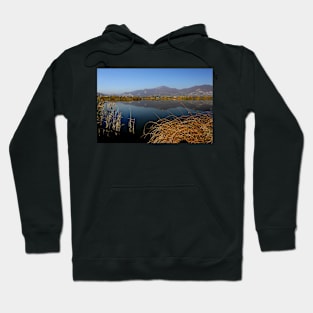 Lake Iseo in the morning light Hoodie